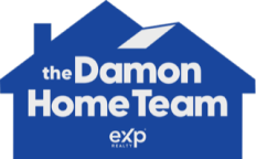 logo damon-home-team